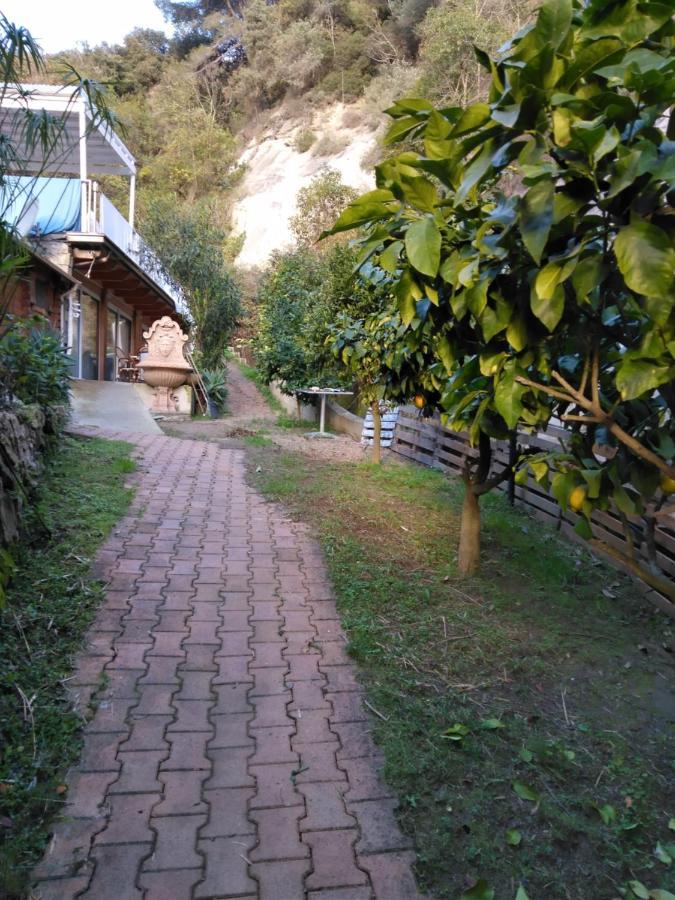 Villa Oasis Mentone Esterno foto